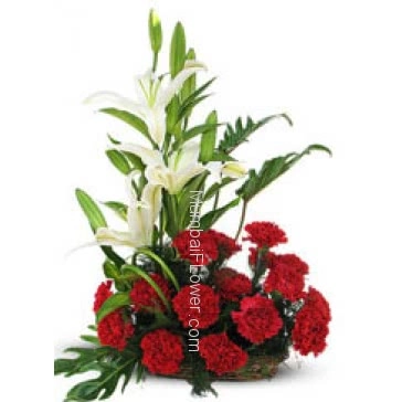 Let the special person in your life know how lucky you feel to have him/ her with this beautiful Arrangement of 15 Red Carnation and 3 pc Asiatic White Lilies nicely decorated with Greens.