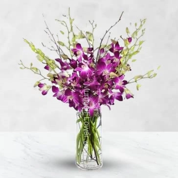 Send this 10 Purple Orchids in a Vase to your loved ones to impress him/her.
