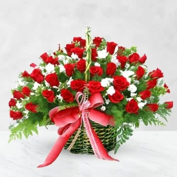 The Red roses is a flower of love. and the white roses are the sincerity of love with Basket of 50 Red and White Roses nicely decorated with Greens.