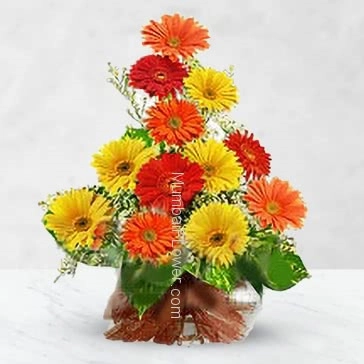 Brings the colors in reciepients life  by recieving this beautiful colorful Bouquet of 15 Mixed Gerberas