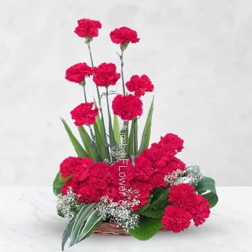 Beautifully arranged 30 Red Carnation  naturally enough to win anybodys heart..