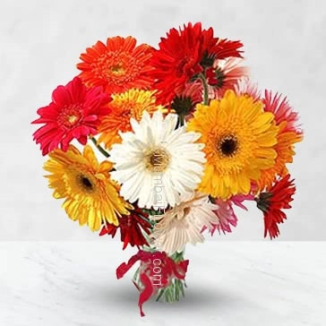 Bunch of 15 Mixed Gerberas nicely decorated with Ribbons.