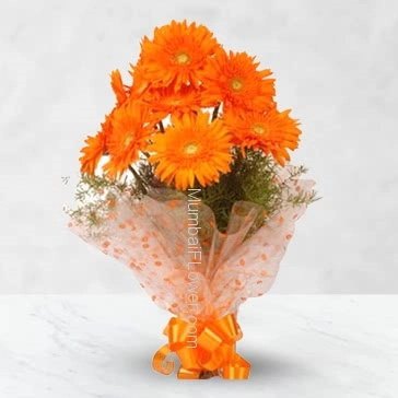 Send color of friendship and community with Bunch of 12 Orange Gerberas  nicely decorated with Ribbons.