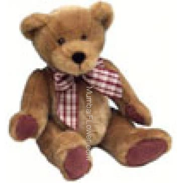 24 Inch Soft Teddy.