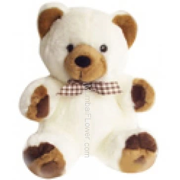 15 Inch Soft Teddy.