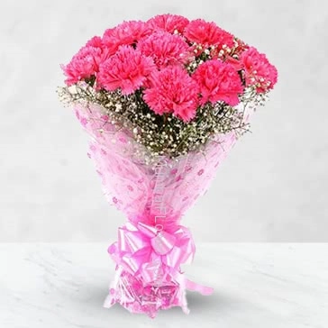Bunch of 12 Pink Color Carnations nicely decorated with filler and ribbons.