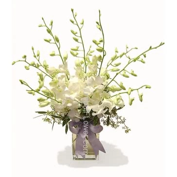 Glass Vase with 10 White Orchids nicely decorated with fillers and greens.  Please note: this item is not available all the time.