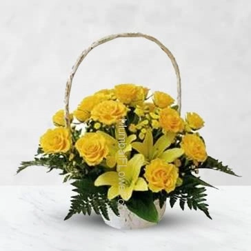 Basket of 20 Yellow Roses and 3 pc Asiatic Yellow Lilies nicely decorated with fillers and ribbons, Congratulation Basket