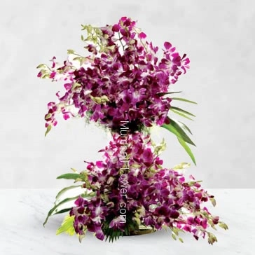 Tall Arrangement with 75 Purple Orchids nicely decorated with fillers and grens