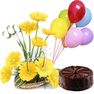 Arrangement of 15 Yellow Gerberas and Half kg. Chocolate Truffle Cake..with baloons
