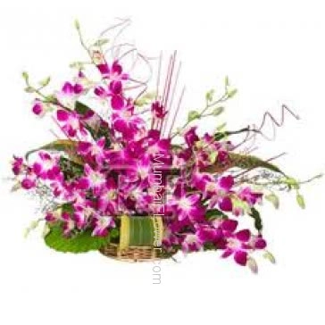 Arrangement of 15 Purple orchids nicely decorated with fillers and greens