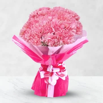 Bunch of 25 Pink carnation nicely decorated with ribbons 