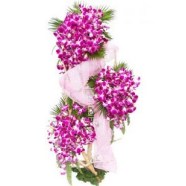 Tall Arrangement of 75 purple orchids nicely decorated with fillers and greens