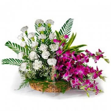Basket Arrangement of 20 White carnation and 6 Purple orchids nicely decorated with greens