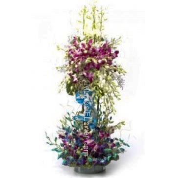 Tall Arrangement of 75 purple, White and blue orchids nicely decorated with greens
