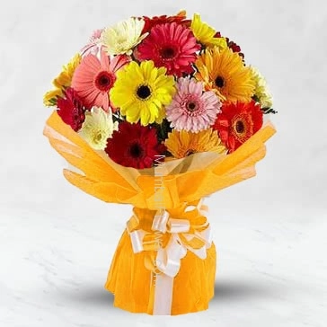 Bunch of 20 Mixed colored gerberas nicely decorated with ribbons