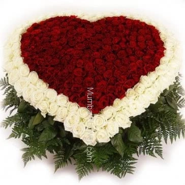 Heart shape Arrangement of 150 Red and White Roses nicely decorated with fillers and greens