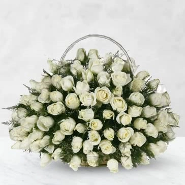 Basket of 75 White Roses with fillers and greens