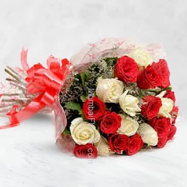 Bunch Of 30 Red and White Roses with Plastic Cellophane Packing