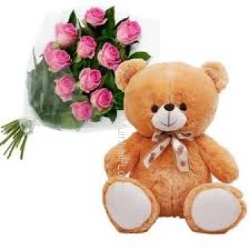 Bunch of 10 Pink Roses with Plastic Cellophane Packing and 12 Inch Teddy