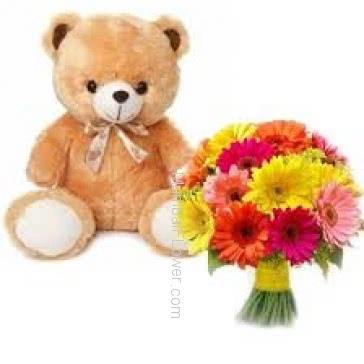 Bunch of 20 Mixed Colored Gerberas with Plastic Cellophane Packing and 12 Inch Teddy