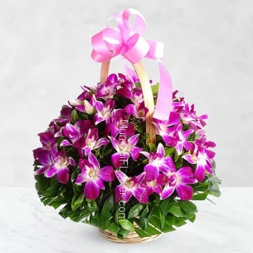 Basket of 6 Purple Orchids nicely decorated with greens.. Please note: This Item not available all the time.