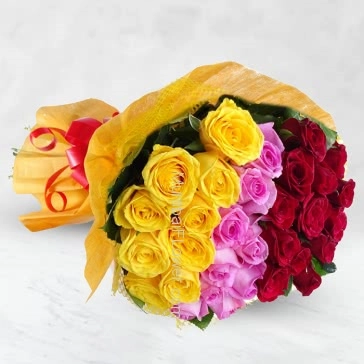Hand Bunch of 30 Tricolor Roses nicely decorated with paper packing and ribbons