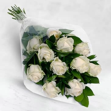 Bunch of 10 White Roses with Plastic Cellophane packing