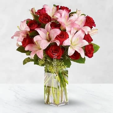 Hand Bunch of 5 Stems of Asiatic Pink Lilies and 20 Red Roses nicely decoarted with fillers and ribbons and Paper Packing. Please Note: Vase is not included.