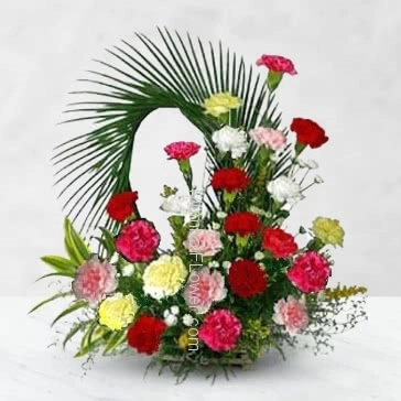 Arrangement of 30 Mixed Color Carnations nicely decorated with fillers and greens