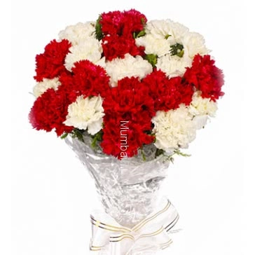 Bunch of 20 Red and White Carnations with fillers ribbons packed with color paper packing
