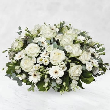 Our elegant full sprayed blooms basket, handcrafted by our caring florists with lush white blooms, is a tasteful gesture perfectly suited for every occasion.
<br>Contains: 
Basket of 40 White Roses and 25 White Gerberas with fillers and greens decorated white ribbons.