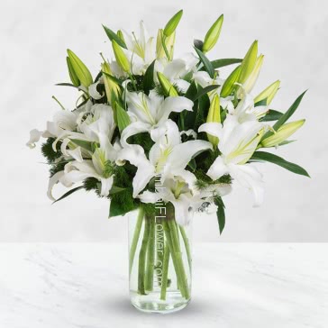 Beautiful Bunch of 10 Stems of Asiatic White Lilies nicely decorated with greens and Ribbons. <br>Note : Vase is not included.