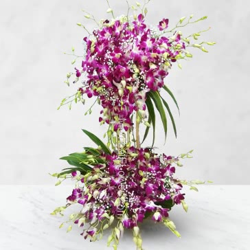 A Beautiful tall Arrangement of 60 Orchid with grace and elegance for your special one.