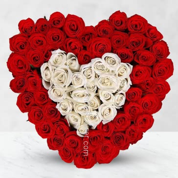 Heart shape Arrangement of 150 red and white roses nicely decorated with fillers and greens