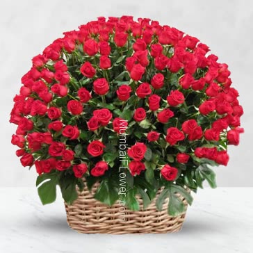 Basket of 150 red roses nicely decorated with fillers and greens