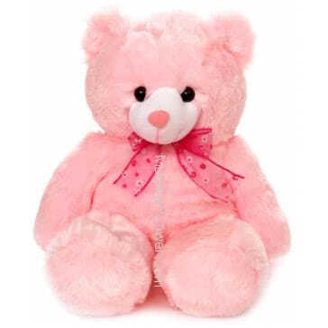 Pink Color Teddy Size 15 Inch approx