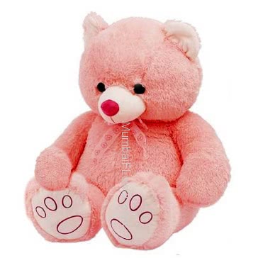 Pink Color Teddy Size 24 Inch approx.