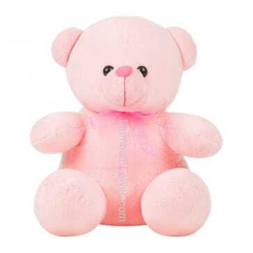 12 Inch Pink Color Teddy, Size: 12 Inch approx
