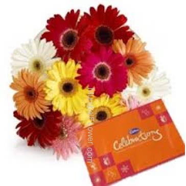 Bunch of 12 Mixed Colored Gerberas with Plastic Cellophane Packing and Small Cadbury Celebration 