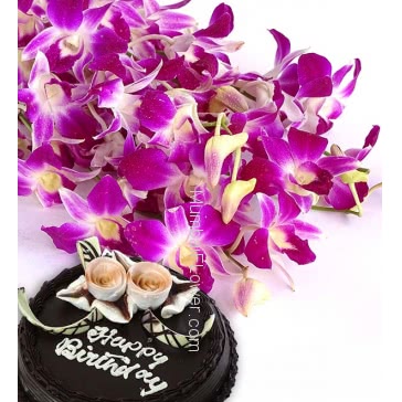 Bunch of 6 Purple Orchids with ribbons and Half Kg. Chocolate Cake, Nice Orchid Combo