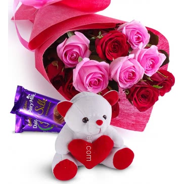Beautiful Bunch of 12 Red and Pink Roses with fillers and ribbons packed with Paper Packing with 6 Inch Teddy and 2pc Cadbury Silk of Rs.60 each