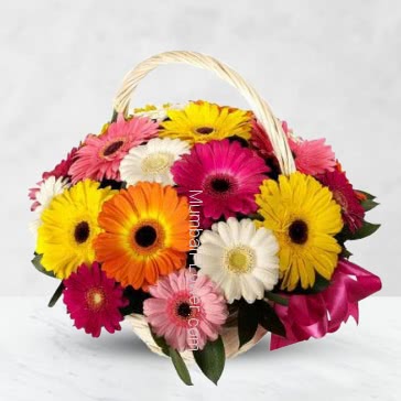 Basket of 20 Mixed Color Gerberas nicely decorated with fillers and greens.