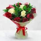 Bunch of 15 Red n White